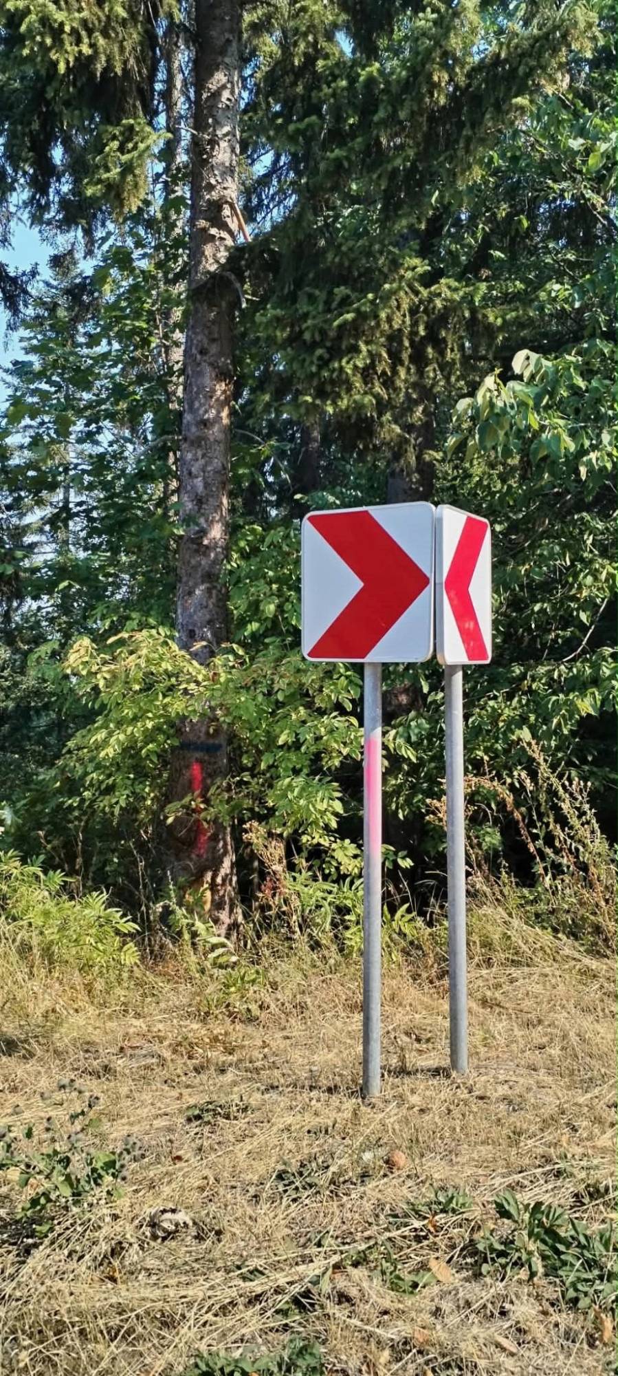 Oznaka bojom na drvetu pored puta, kod krivine.